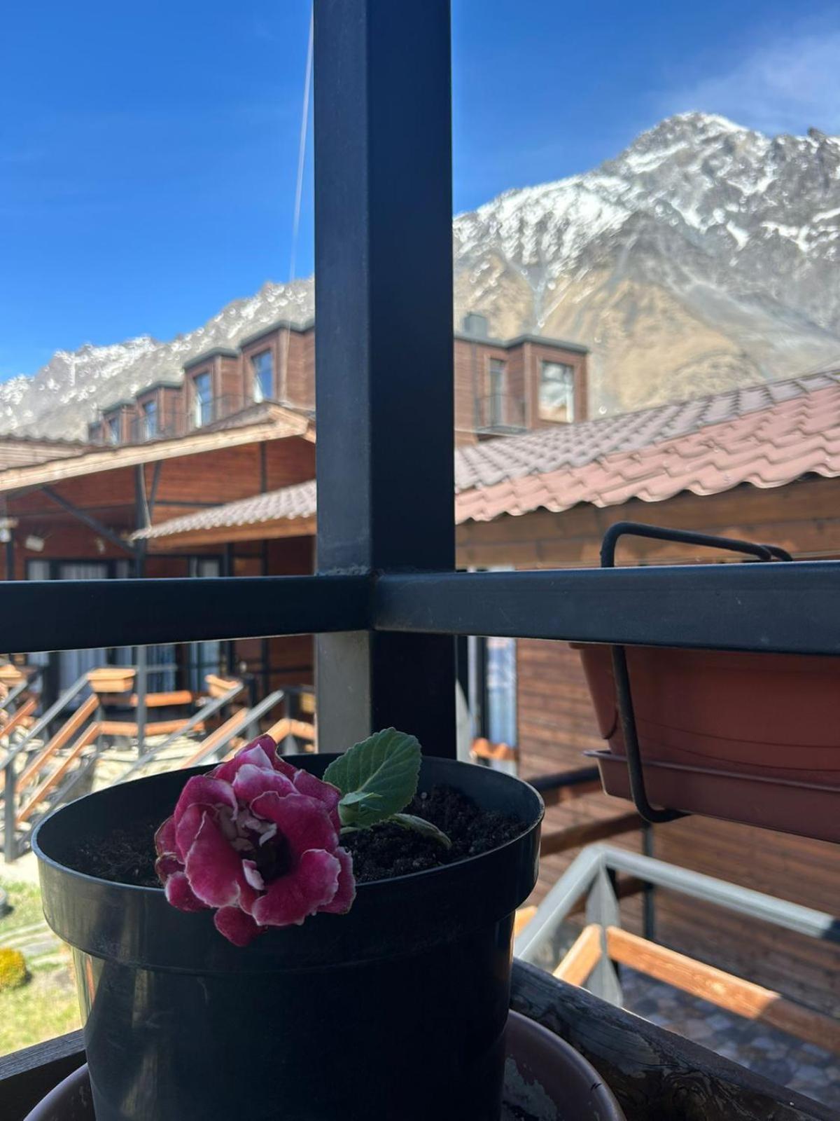Panorama Cottages Kazbegi Esterno foto