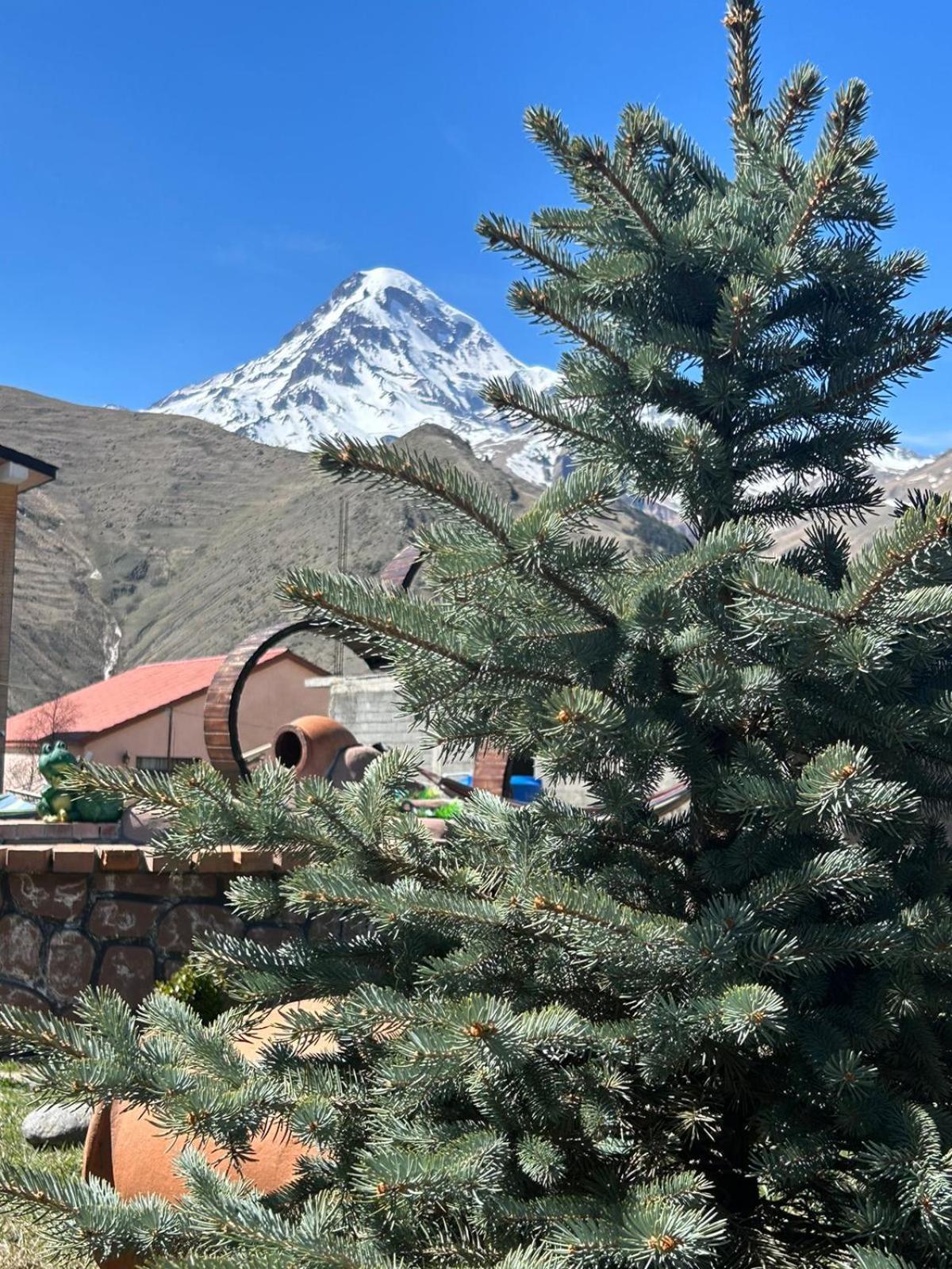 Panorama Cottages Kazbegi Esterno foto